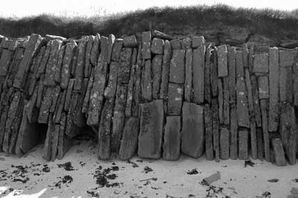 papa westray orkney